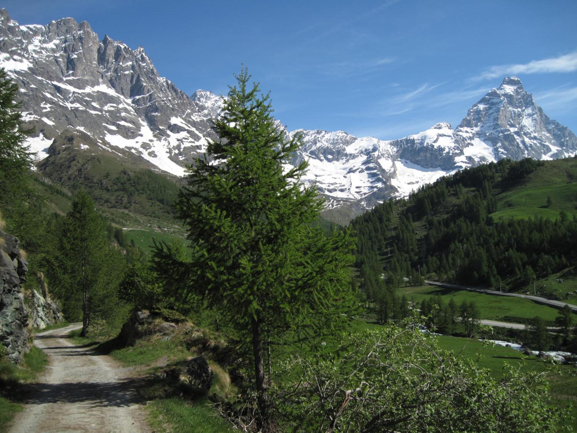 Hotel Meuble Meridiana Valtournenche Kültér fotó